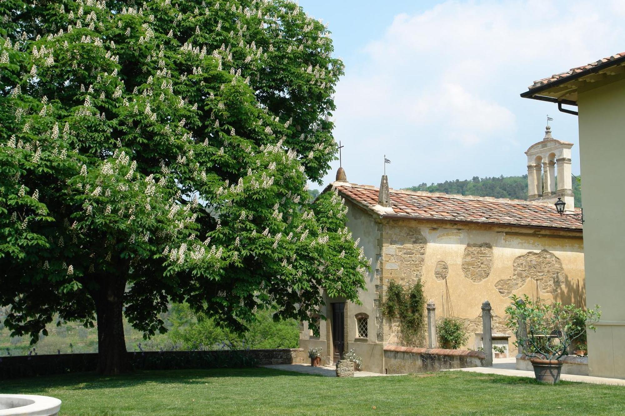 Relais Villa Belpoggio - Residenza D'Epoca لورو تْشووفينّا المظهر الخارجي الصورة