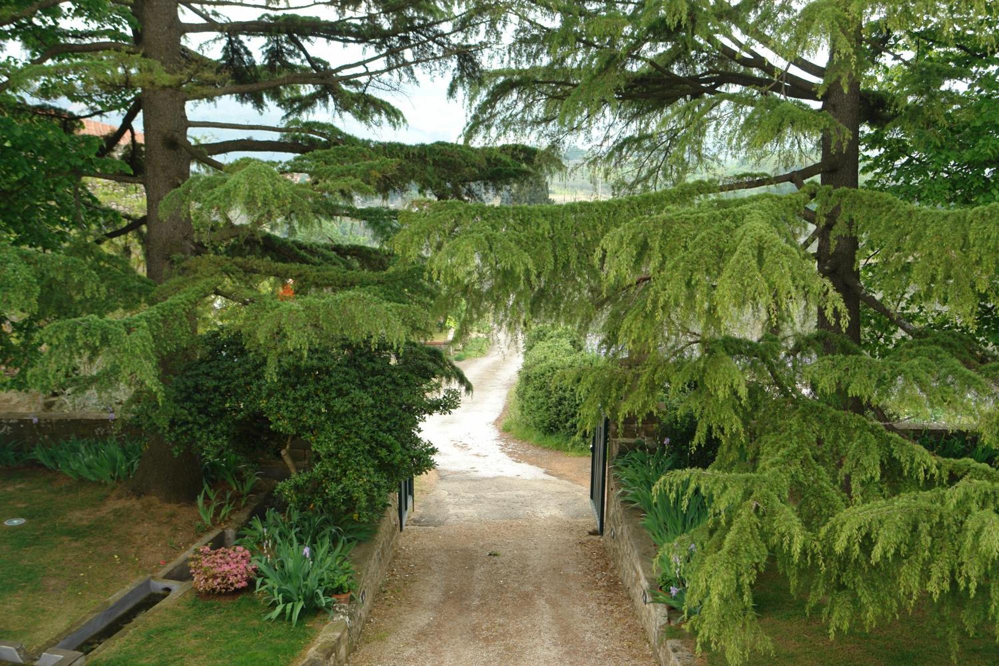 Relais Villa Belpoggio - Residenza D'Epoca لورو تْشووفينّا الغرفة الصورة